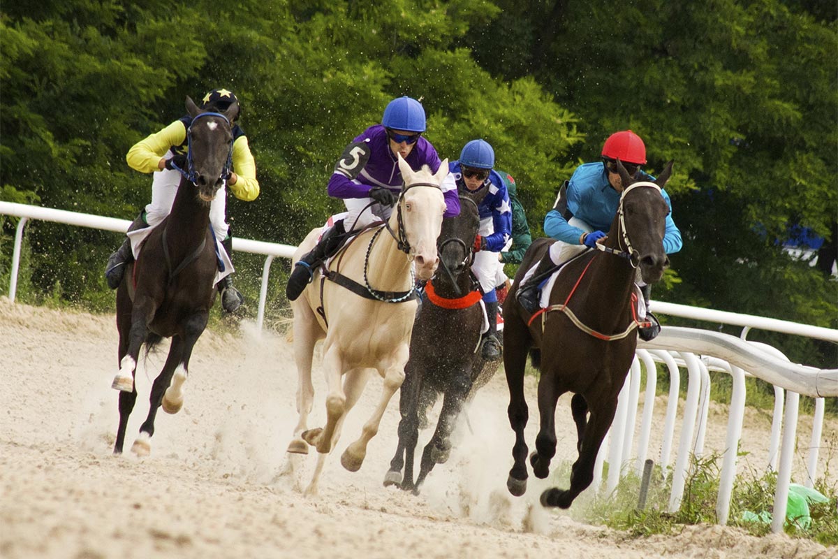 Best handicapping software for horse racing